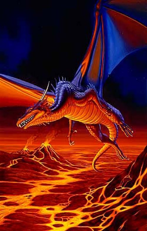 2648639[1].jpg