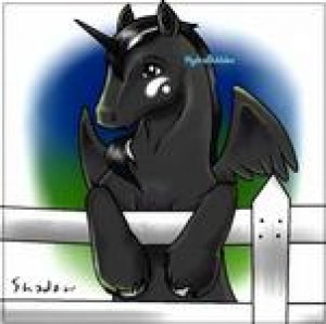 Obrazek